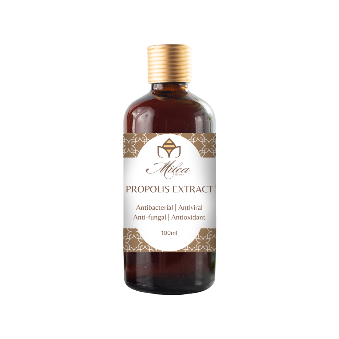 Propolis Extract from Stingless Bees