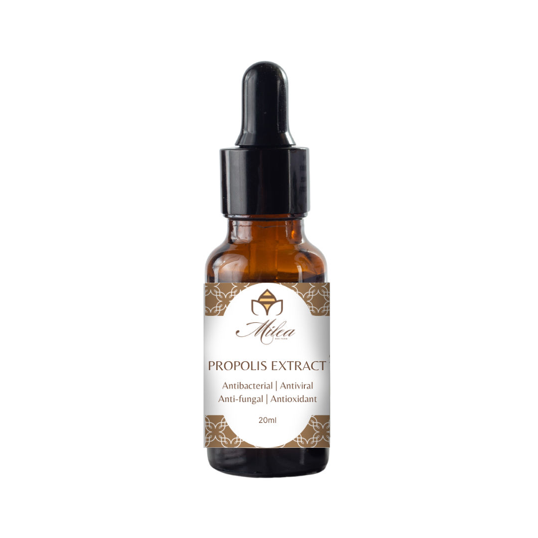 Propolis Extract from Stingless Bees