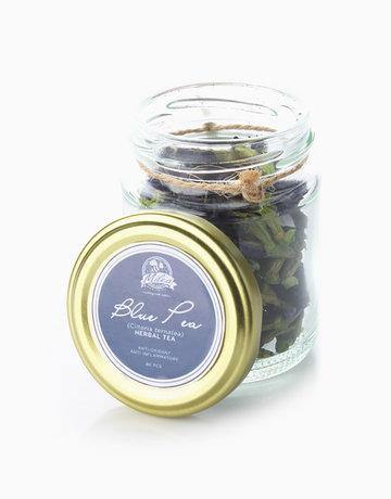Blue Pea Flower Tea - Milea All Organics - Philippines