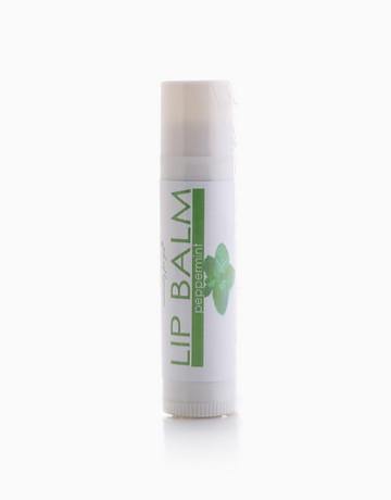 Lip Balm - Milea All Organics - Philippines