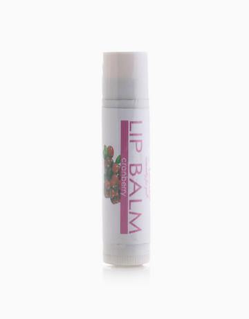 Lip Balm - Milea All Organics - Philippines