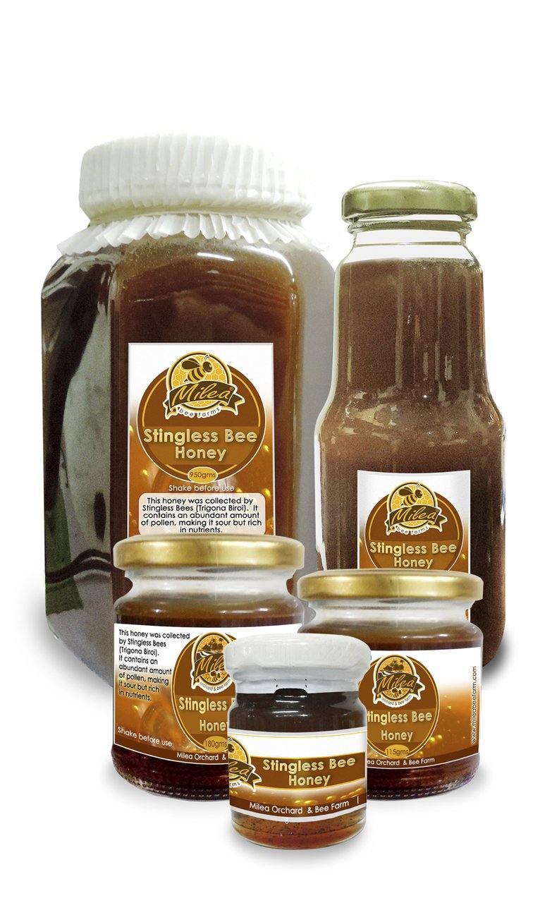 Stingless Bee Honey (Tetragonula / Lukot / Kiyot / Kiwot / Kelulut) - Milea All Organics - Philippines