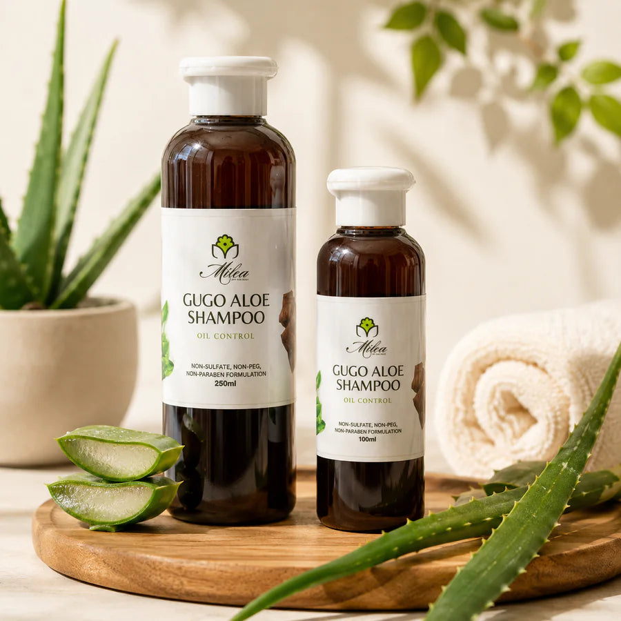 Milea Gugo Aloe Shampoo bottles with fresh aloe